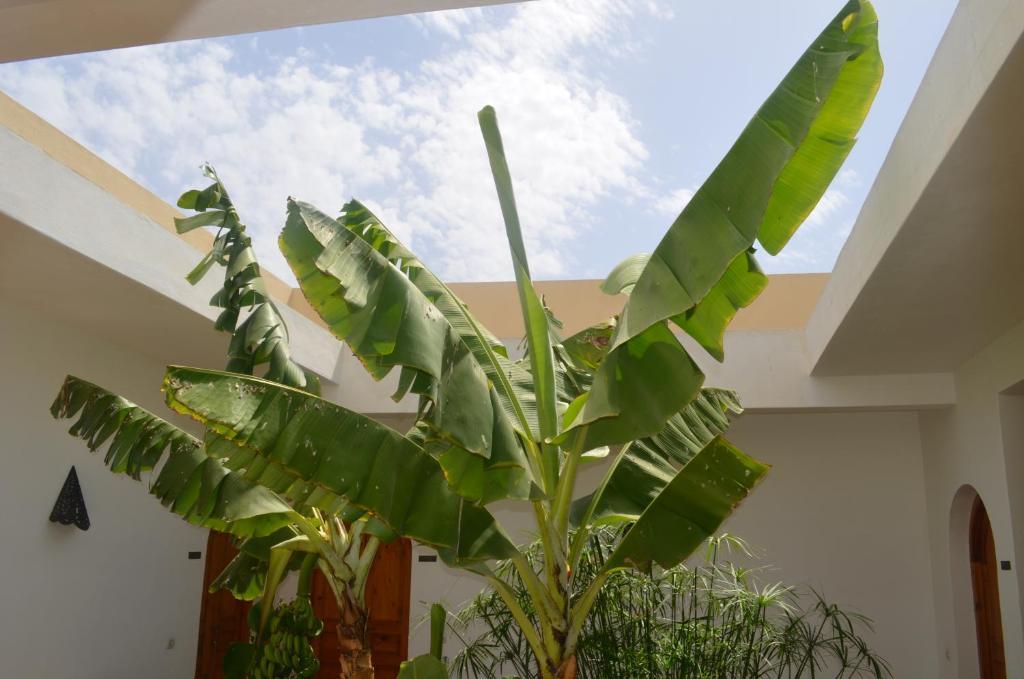 Casa Naima Hotel Ida Ougourd Kültér fotó